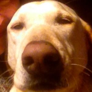 Meet your Posher, Debra